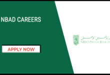 Nbad Careers
